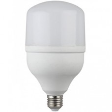 Лампа светодиодная ЭРА LED smd POWER 40W-6500-E27 Б0027006