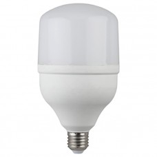 Лампа светодиодная ЭРА LED smd POWER 20W-4000-E27 Б0027001