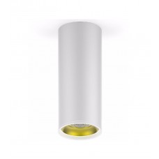 LED светильник накладной HD012 12W (белый золото) 3000K 79x200,900лм,1/30 HD012